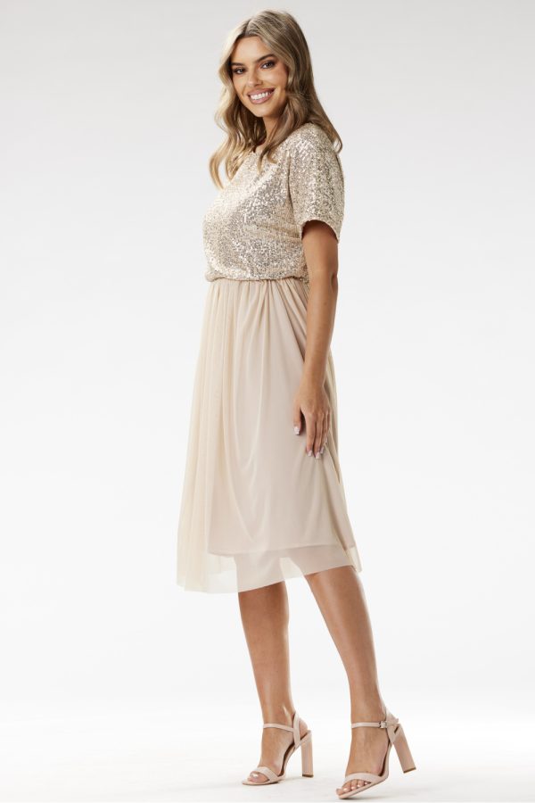 Evening dress model 204290 awama